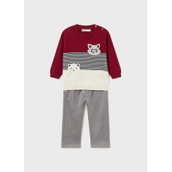 Conjunto pantalón y jersey...