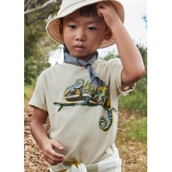 Camiseta m/c cameleon niño...