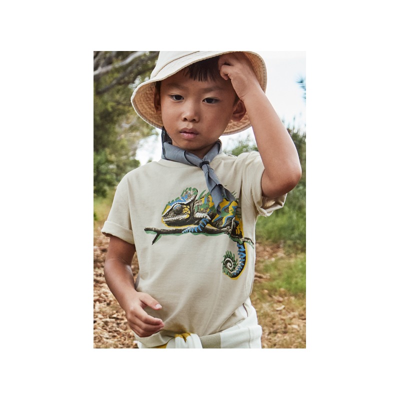 Camiseta m/c cameleon niño mayoral