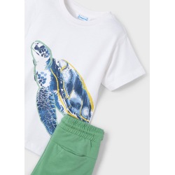 Conjunto punto tortuga niño mayoral