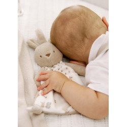 Peluche osito engancha...