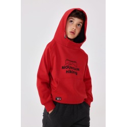Sudadera felpa con capucha niño Boboli