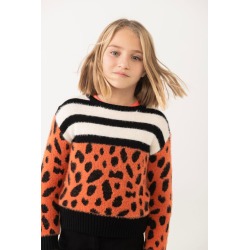 Jersey tricotosa de niña...