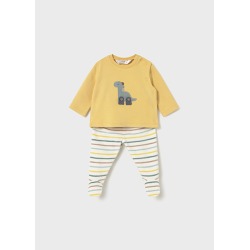 Conjunto polaina y sudadera...