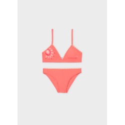 Bikini triangulo grafica...