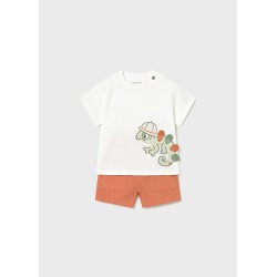 Conjunto punto camiseta...