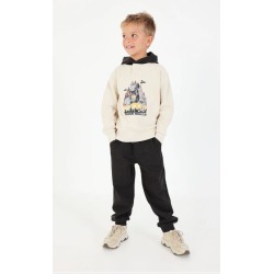 Chandal felpa montañas niño...