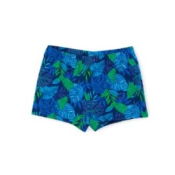 Boxer bebe familia tropical Sardon